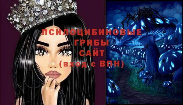 PSILOCYBIN Кукмор
