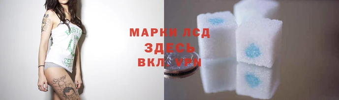 PSILOCYBIN Кукмор