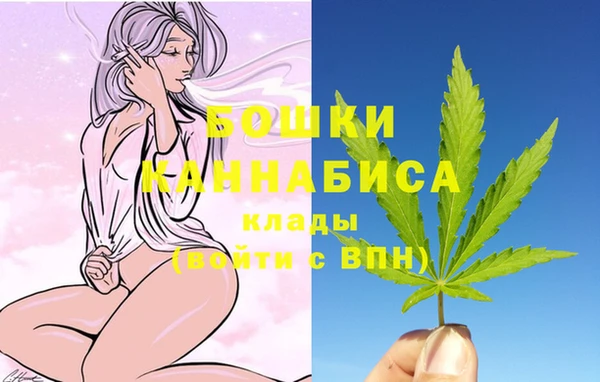 PSILOCYBIN Кукмор