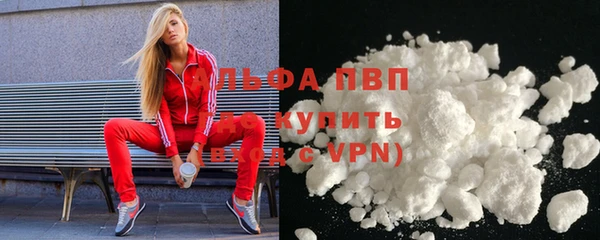PSILOCYBIN Кукмор