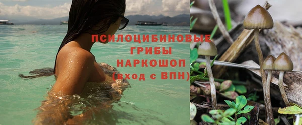 индика Краснотурьинск