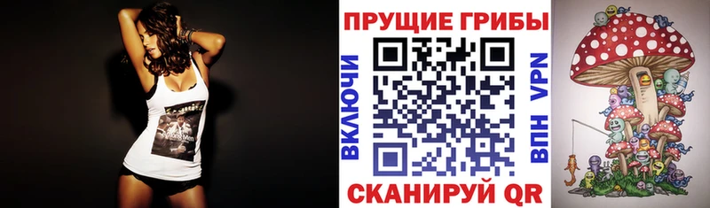 купить наркотики цена  Медвежьегорск  Псилоцибиновые грибы GOLDEN TEACHER 